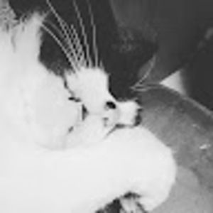 Meet your Posher, Sofia